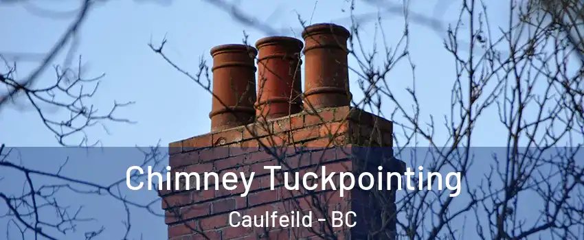  Chimney Tuckpointing Caulfeild - BC