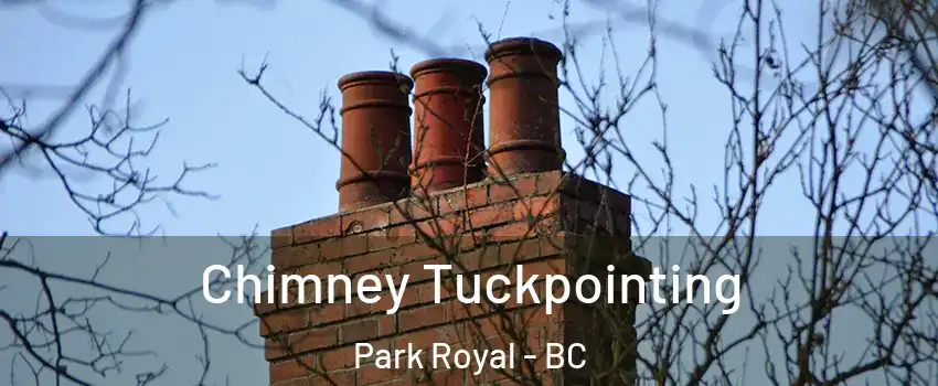  Chimney Tuckpointing Park Royal - BC