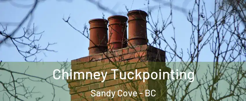  Chimney Tuckpointing Sandy Cove - BC