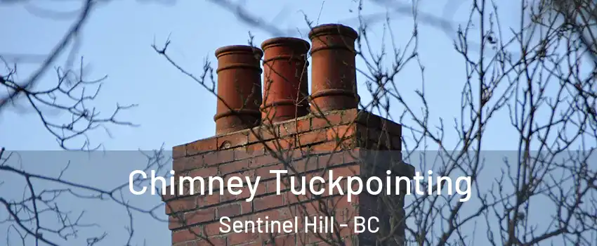  Chimney Tuckpointing Sentinel Hill - BC