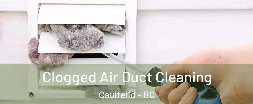  Clogged Air Duct Cleaning Caulfeild - BC