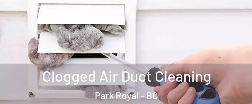  Clogged Air Duct Cleaning Park Royal - BC