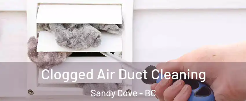  Clogged Air Duct Cleaning Sandy Cove - BC