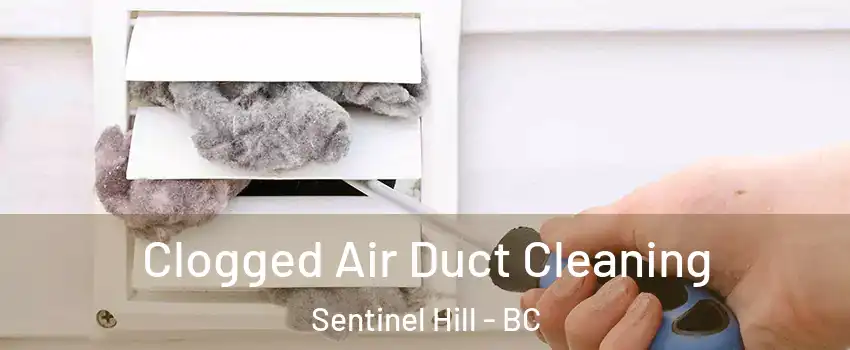  Clogged Air Duct Cleaning Sentinel Hill - BC
