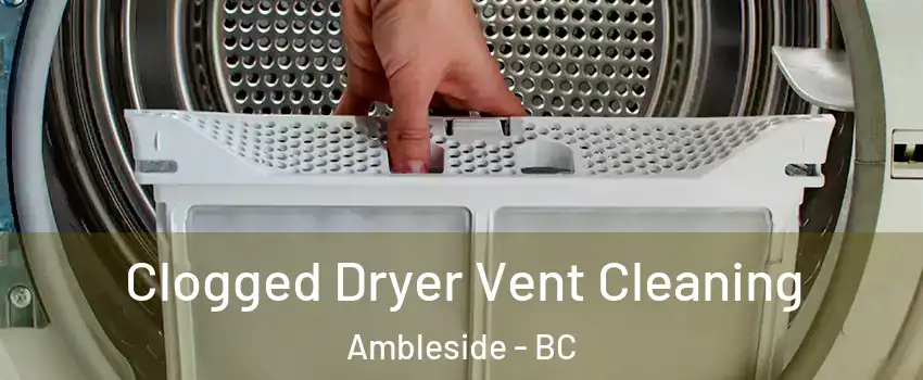  Clogged Dryer Vent Cleaning Ambleside - BC