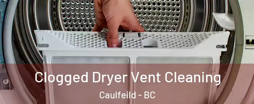  Clogged Dryer Vent Cleaning Caulfeild - BC