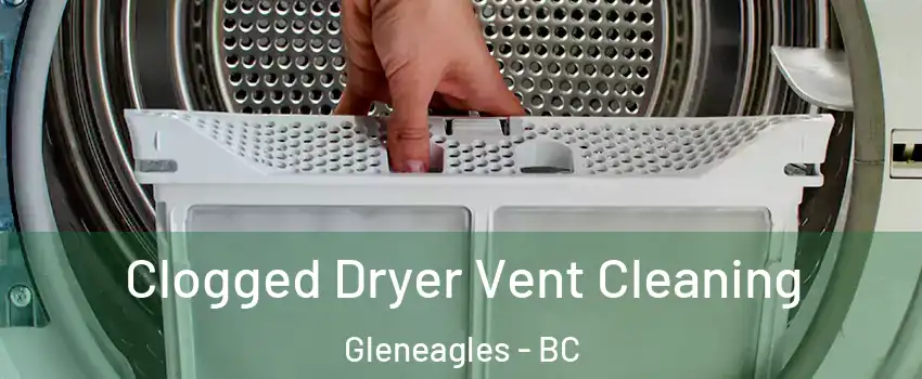  Clogged Dryer Vent Cleaning Gleneagles - BC