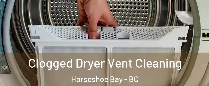  Clogged Dryer Vent Cleaning Horseshoe Bay - BC