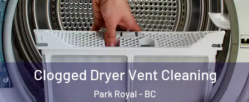  Clogged Dryer Vent Cleaning Park Royal - BC