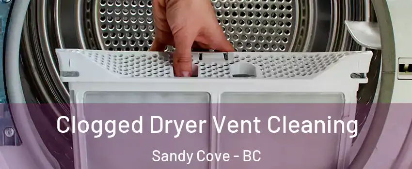  Clogged Dryer Vent Cleaning Sandy Cove - BC