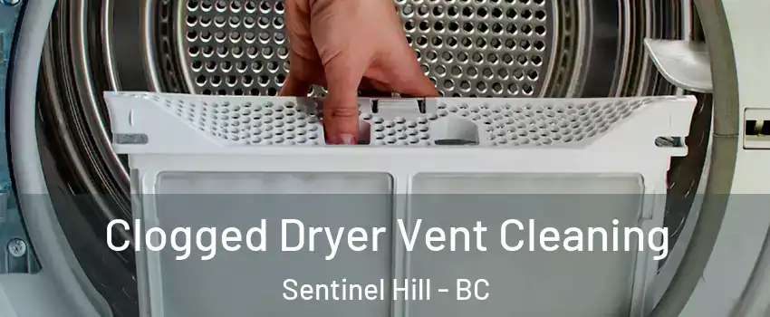  Clogged Dryer Vent Cleaning Sentinel Hill - BC