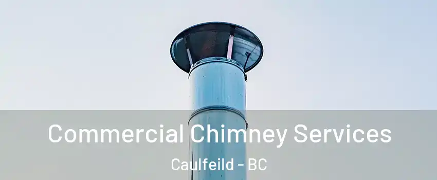  Commercial Chimney Services Caulfeild - BC