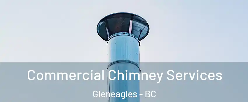  Commercial Chimney Services Gleneagles - BC