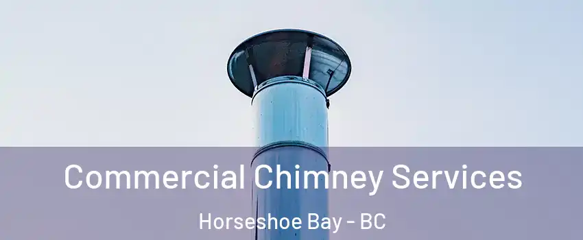  Commercial Chimney Services Horseshoe Bay - BC