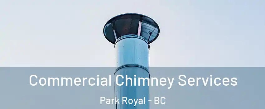  Commercial Chimney Services Park Royal - BC