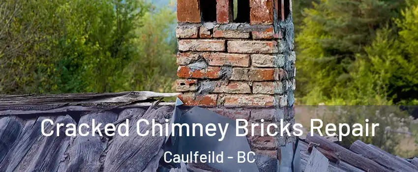  Cracked Chimney Bricks Repair Caulfeild - BC