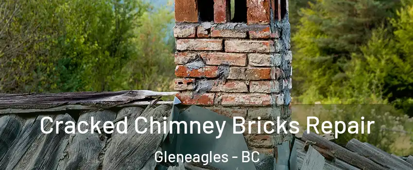  Cracked Chimney Bricks Repair Gleneagles - BC