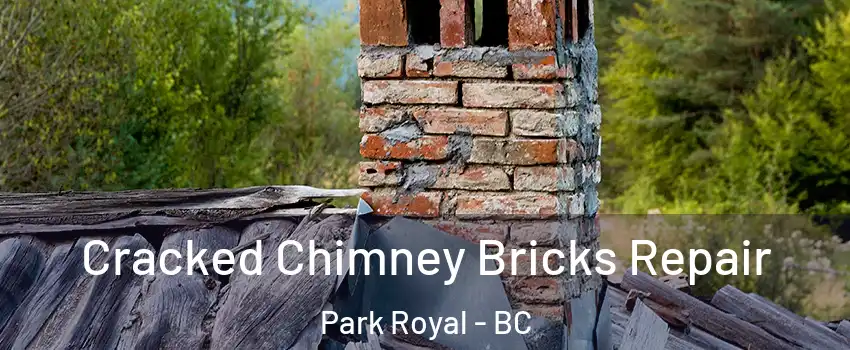 Cracked Chimney Bricks Repair Park Royal - BC
