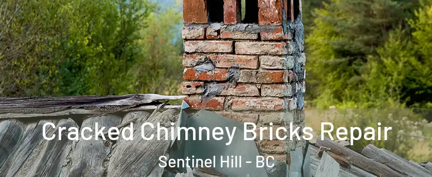  Cracked Chimney Bricks Repair Sentinel Hill - BC