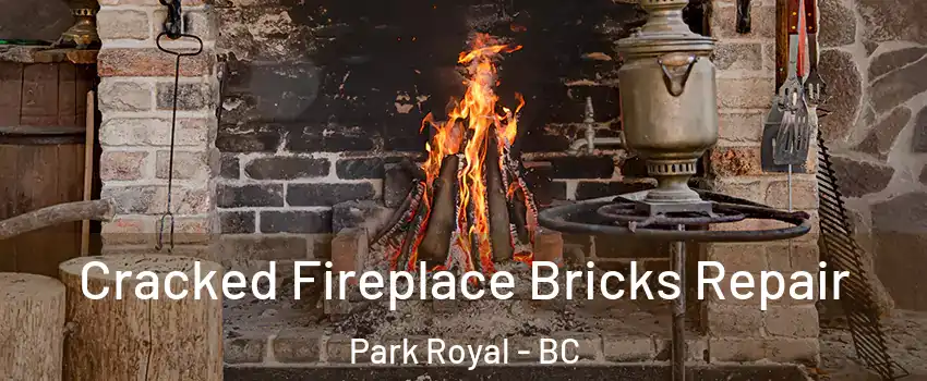  Cracked Fireplace Bricks Repair Park Royal - BC