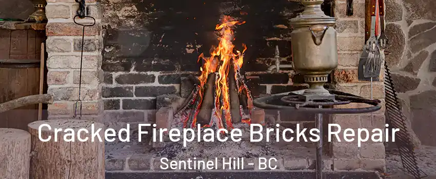 Cracked Fireplace Bricks Repair Sentinel Hill - BC