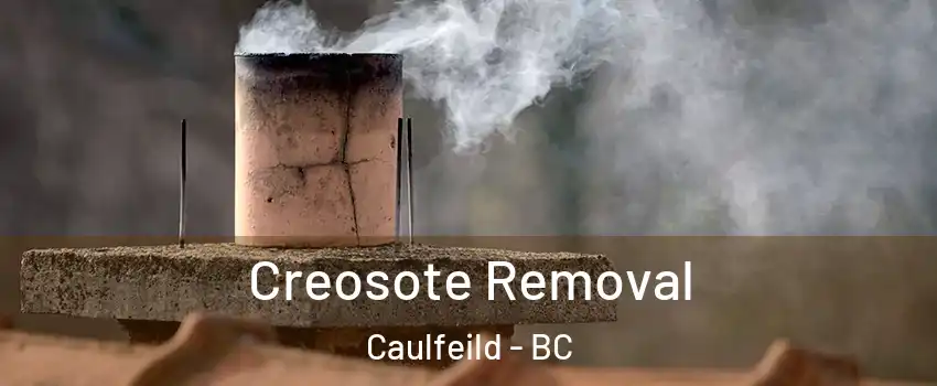  Creosote Removal Caulfeild - BC