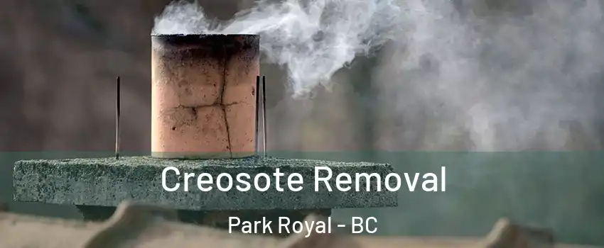  Creosote Removal Park Royal - BC