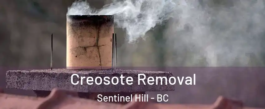  Creosote Removal Sentinel Hill - BC