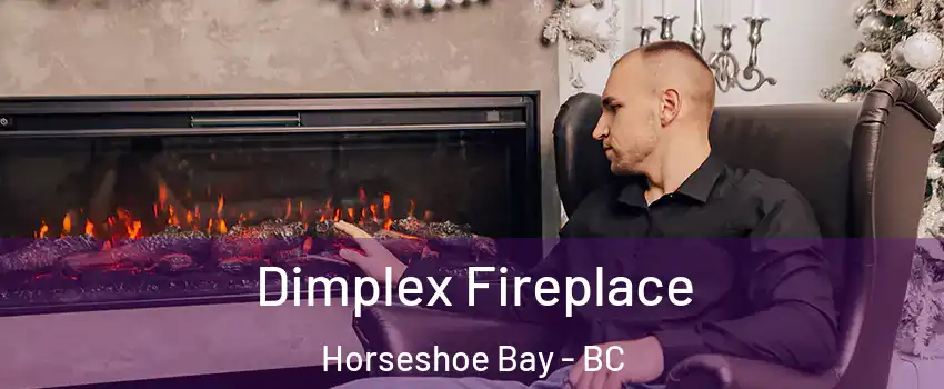  Dimplex Fireplace Horseshoe Bay - BC
