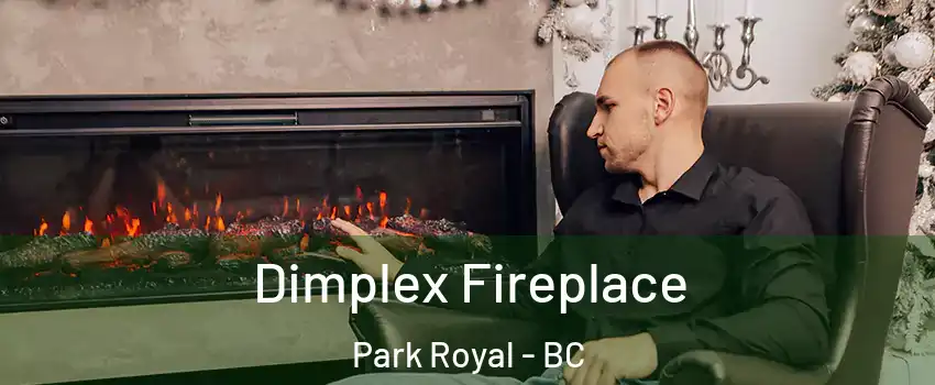  Dimplex Fireplace Park Royal - BC