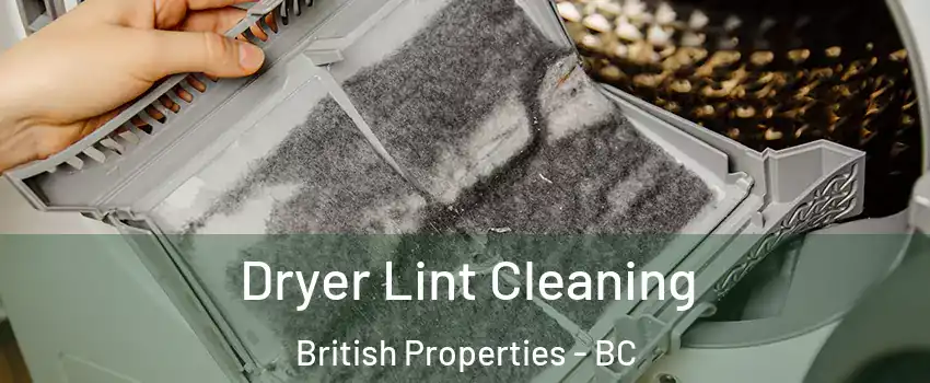  Dryer Lint Cleaning British Properties - BC