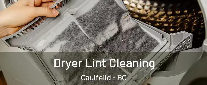  Dryer Lint Cleaning Caulfeild - BC