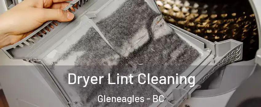  Dryer Lint Cleaning Gleneagles - BC