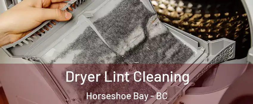  Dryer Lint Cleaning Horseshoe Bay - BC