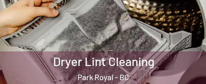  Dryer Lint Cleaning Park Royal - BC