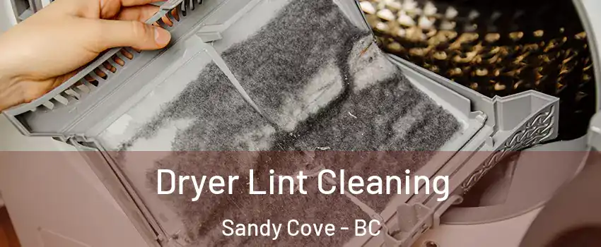  Dryer Lint Cleaning Sandy Cove - BC
