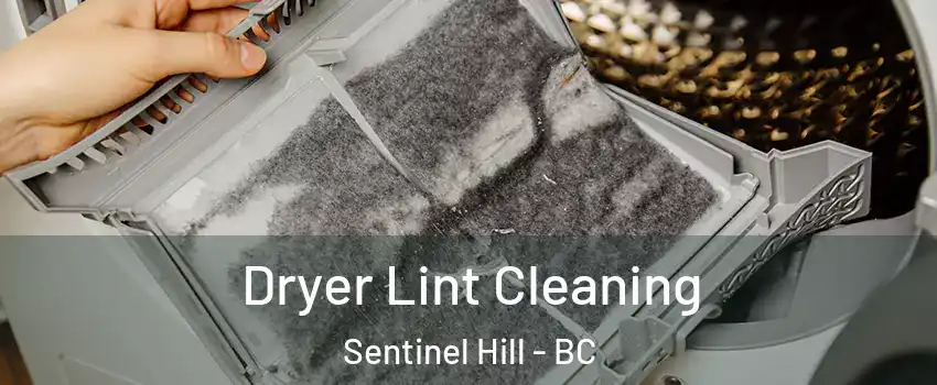  Dryer Lint Cleaning Sentinel Hill - BC