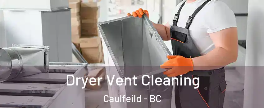  Dryer Vent Cleaning Caulfeild - BC