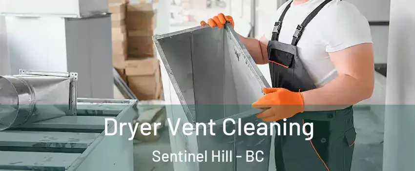  Dryer Vent Cleaning Sentinel Hill - BC
