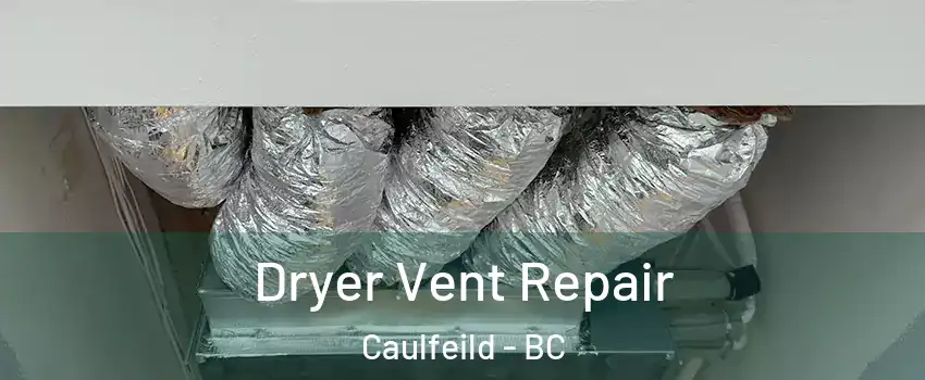  Dryer Vent Repair Caulfeild - BC