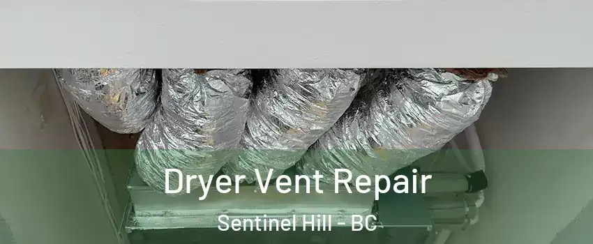  Dryer Vent Repair Sentinel Hill - BC