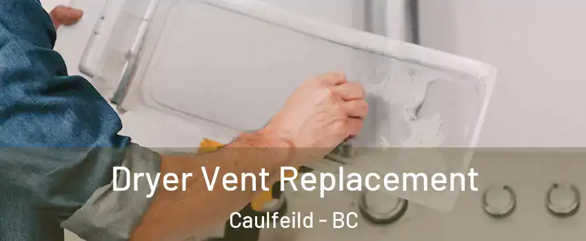  Dryer Vent Replacement Caulfeild - BC
