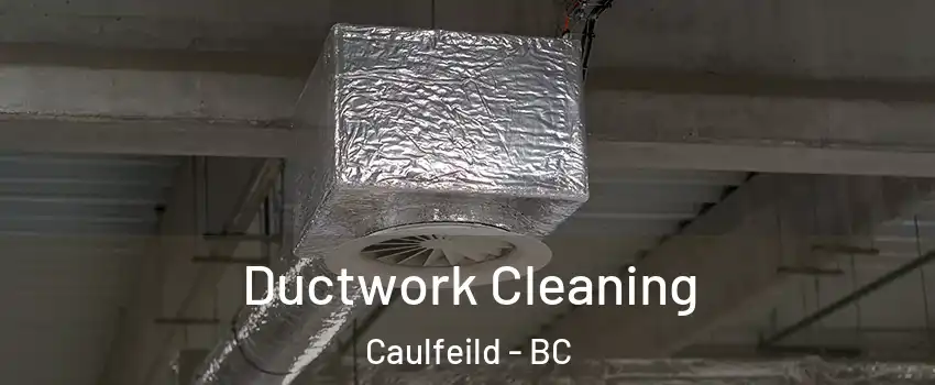  Ductwork Cleaning Caulfeild - BC