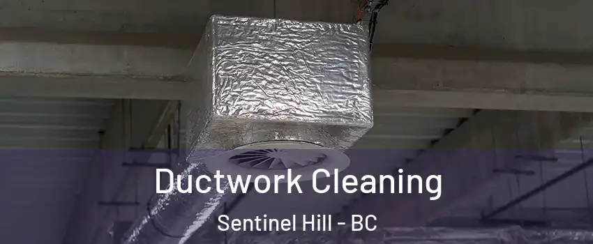  Ductwork Cleaning Sentinel Hill - BC