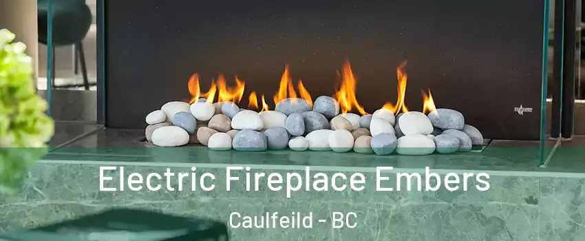  Electric Fireplace Embers Caulfeild - BC
