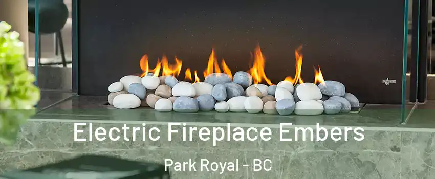  Electric Fireplace Embers Park Royal - BC