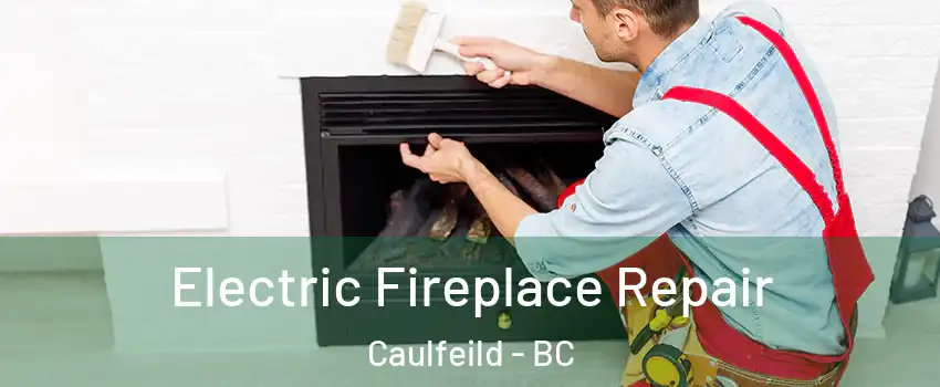  Electric Fireplace Repair Caulfeild - BC