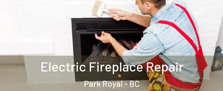  Electric Fireplace Repair Park Royal - BC