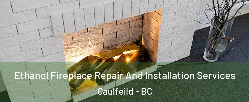 Ethanol Fireplace Repair And Installation Services Caulfeild - BC