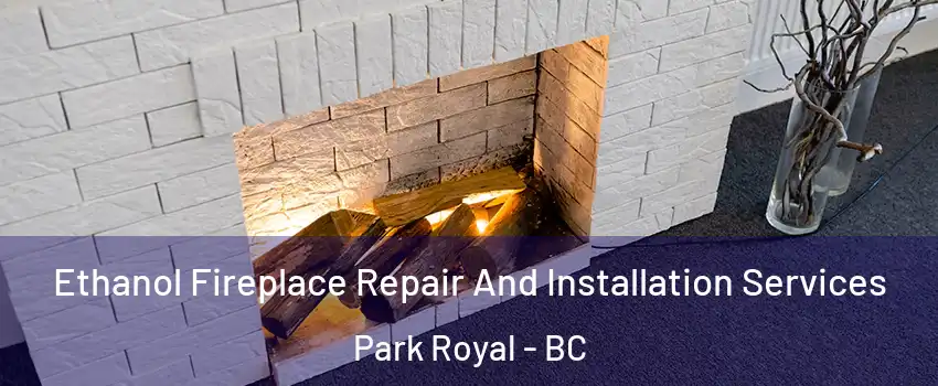  Ethanol Fireplace Repair And Installation Services Park Royal - BC